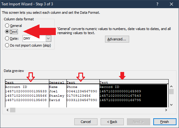 Excel Import Data Step 3 of 3