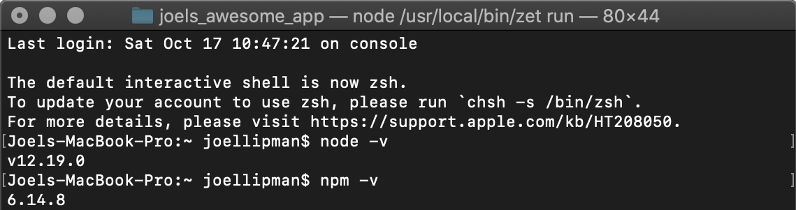 Check NodeJS Installation